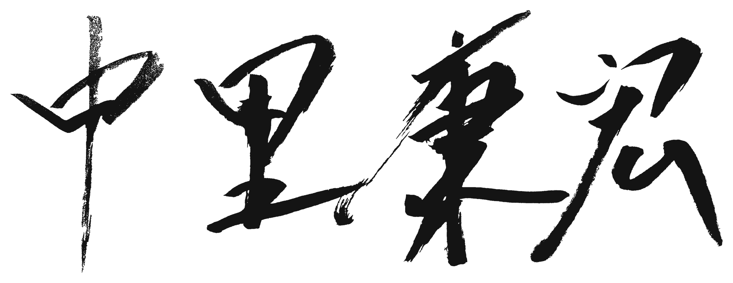 代表取締役 中里 康宏 署名
